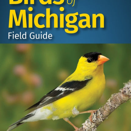 Birds of Michigan Field Guide