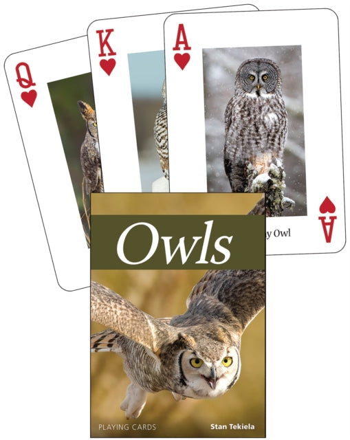 Owls Playing Cards