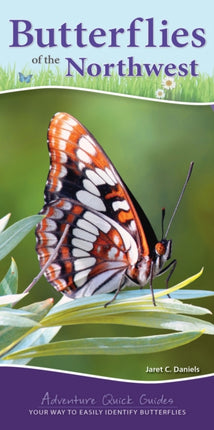 Butterflies of the Northwest: Your Way to Easily Identify Butterflies