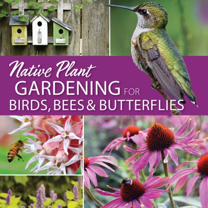 Native Plant Gardening for Birds, Bees & Butterflies: Upper Midwest: Upper Midwest