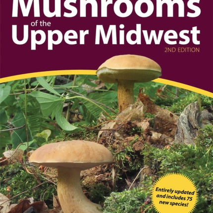 Mushrooms of the Upper Midwest: A Simple Guide to Common Mushrooms