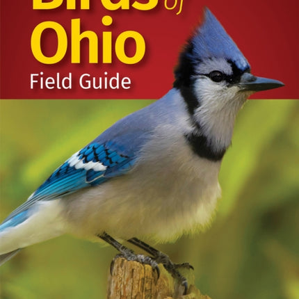 Birds of Ohio Field Guide