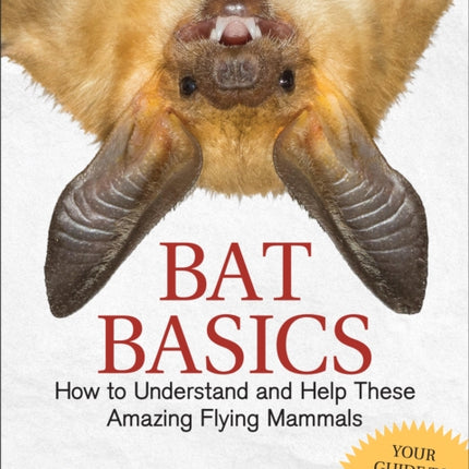Bat Basics: How to Understand and Help These
