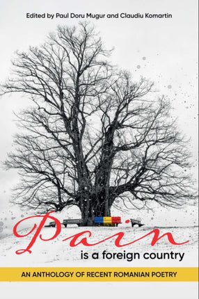 Pain Is a Foreign Country