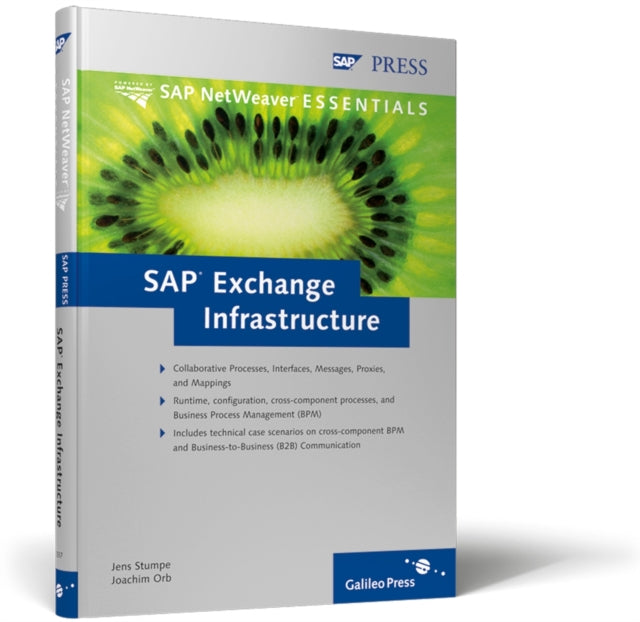 SAP Exchange Infrastructure