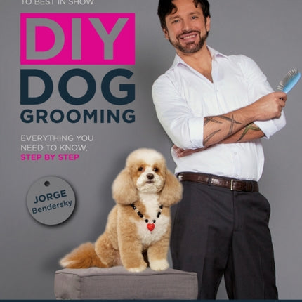 DIY Dog Grooming: Everything You Need to Know, Step by Step