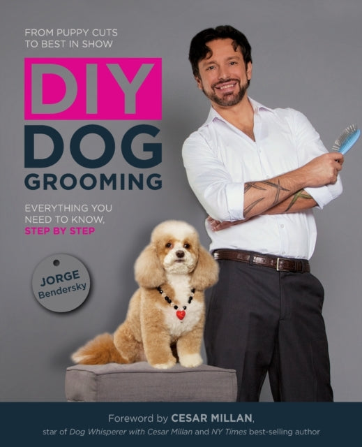 DIY Dog Grooming: Everything You Need to Know, Step by Step