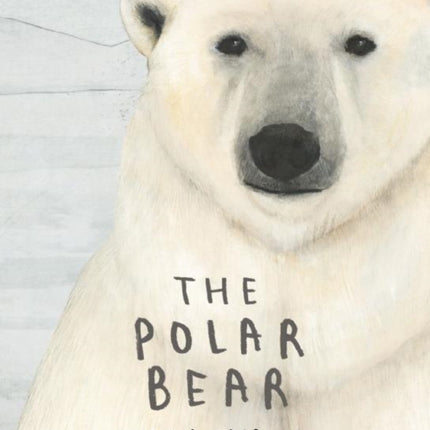 The Polar Bear