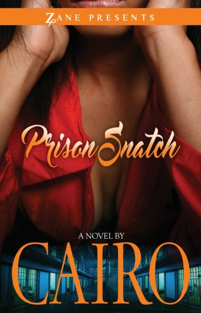 Prison Snatch: A Novel