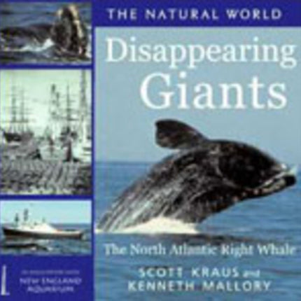 Diappearing Giants: The North Atlantic Right Whale