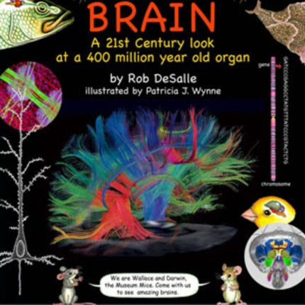 Brain Volume 2: A 21st Century Look at a 400 Million Year Old Organ