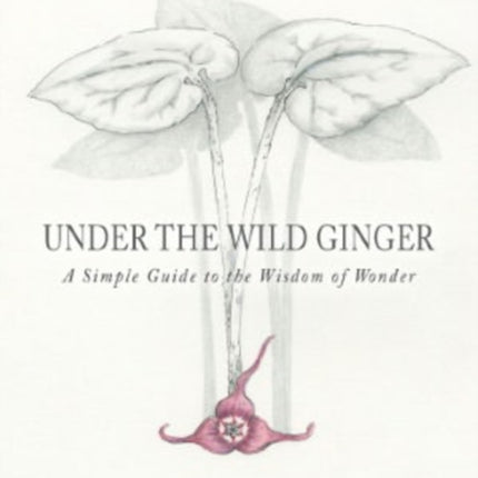 Under the Wild Ginger: A Simple Guide to the Wisdom of Wonder