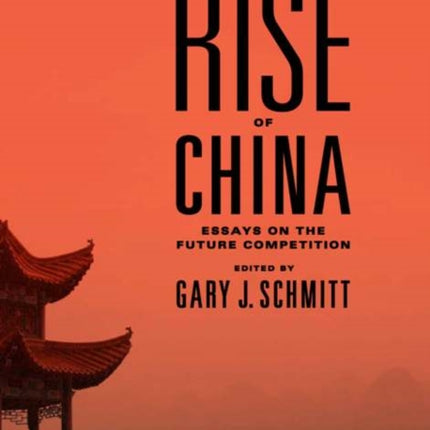 The Rise of China: Essays on the Future Competition