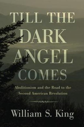 Till the Dark Angel Comes: Abolitionism and the