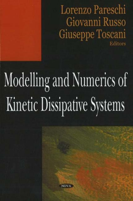 Modelling & Numerics of Kinetic Dissipative Systems