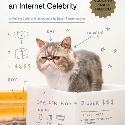 How to Make Your Cat an Internet Celebrity: A Guide to Financial Freedom