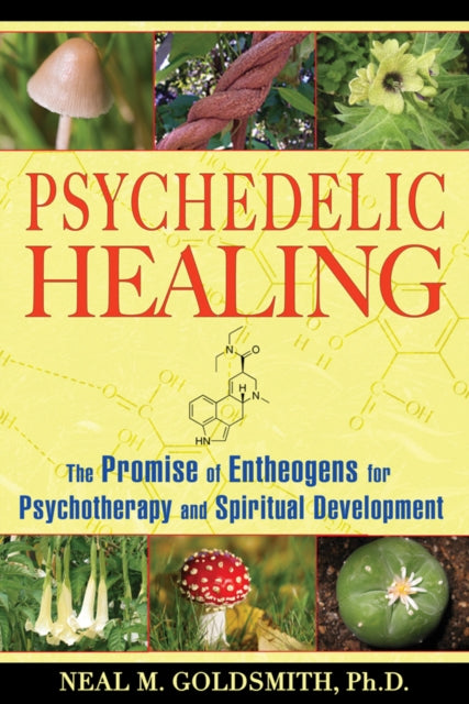 Psychedelic Healing: The Promise of Entheogens for Psychotherapy and Spiritual Development