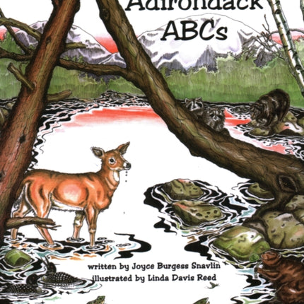 Adirondack ABCs