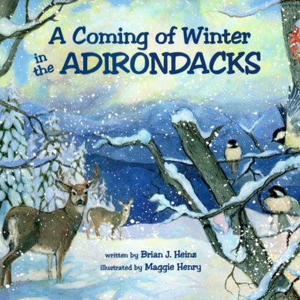 A Coming Of Winter In The Adirondacks