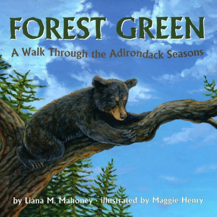 Forest Green: A Walk Through the Adirondack Seasons