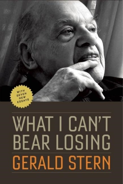 What I Can't Bear Losing: Essays by Gerald Stern