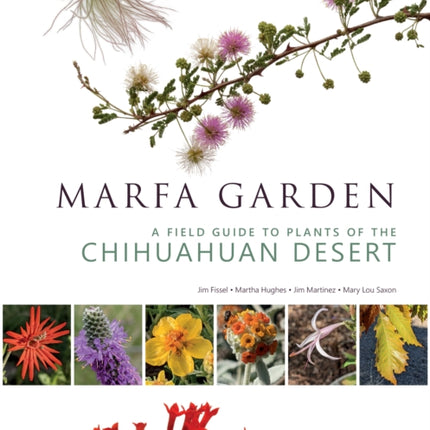 Marfa Garden