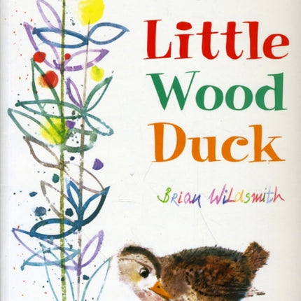 The Little Wood Duck