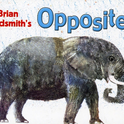 Brian Wildsmith's Opposites