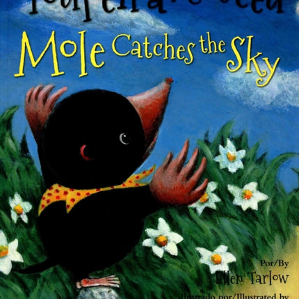 Mole Catches the Sky (Portuguese/English)