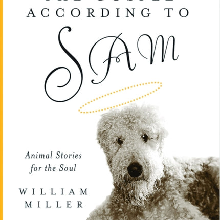 The Gospel According to Sam: Animal Stories for