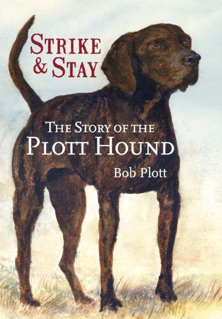 The Story of the Plott Hound Strike  Stay