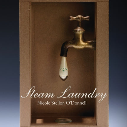 Steam Laundry