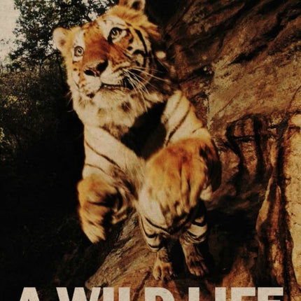 A Wild Life: A Visual Biography of Photographer Michael Nichols