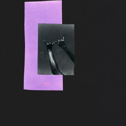 Dionne Lee A Monograph