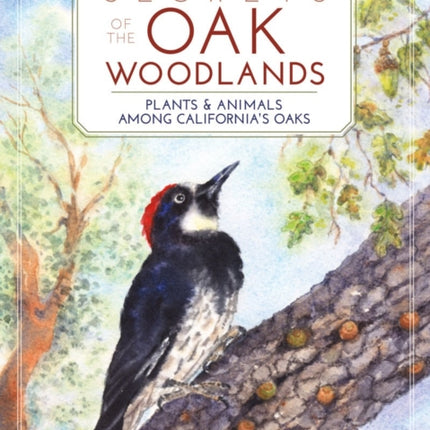 Secrets of the Oak Woodlands: Plants and Animals among California's Oaks