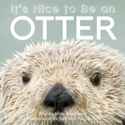 It's Nice to Be an Otter