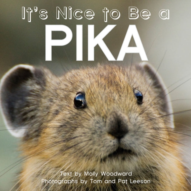 It's Nice to Be a Pika