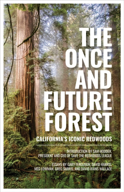 The Once and Future Forest: California's Iconic Redwoods