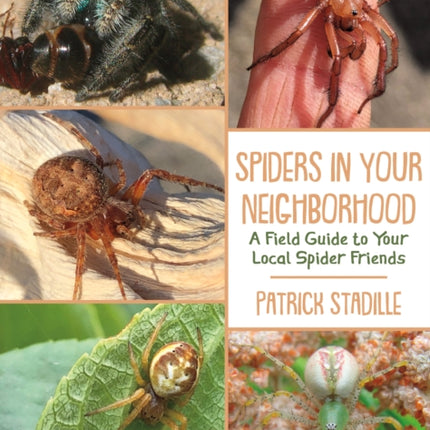 Spiders in Your Neighborhood: A Field Guide to Your Local Spider Friends, Revised and Expanded