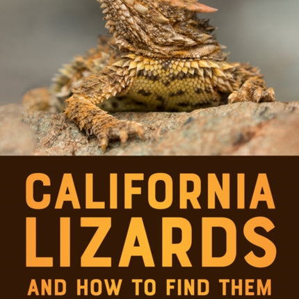 California Lizards and How to Find Them