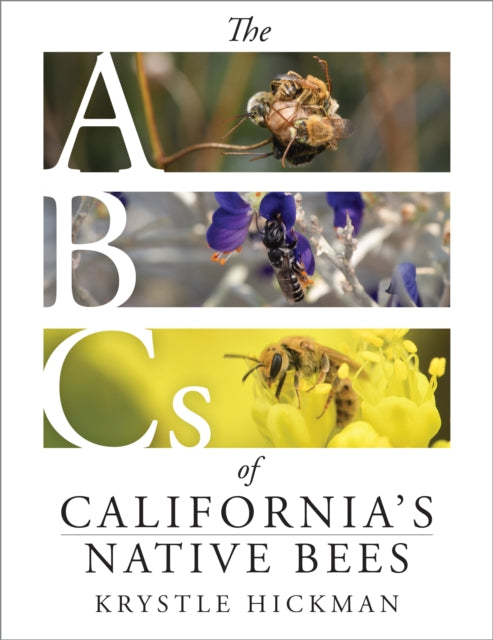 The ABCs of Californias Native Bees