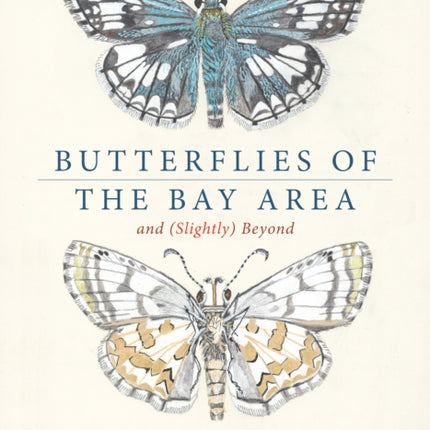 Butterflies of the Bay Area and Slightly Beyond