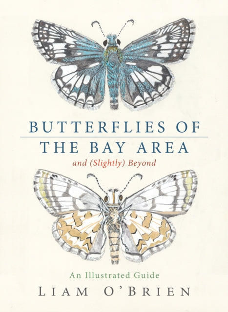 Butterflies of the Bay Area and Slightly Beyond