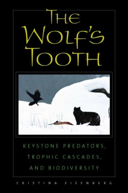 The Wolf's Tooth: Keystone Predators, Trophic Cascades, and Biodiversity