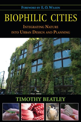 Biophilic Cities: Integrating Nature into Urban Design and Planning