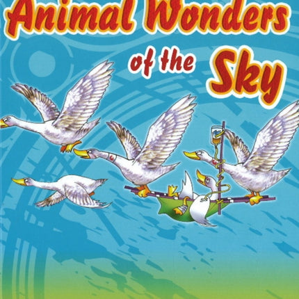 Animal Wonders of the Sky