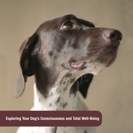 Dog Body, Dog Mind: Exploring Canine Consciousness And Total Well-Being