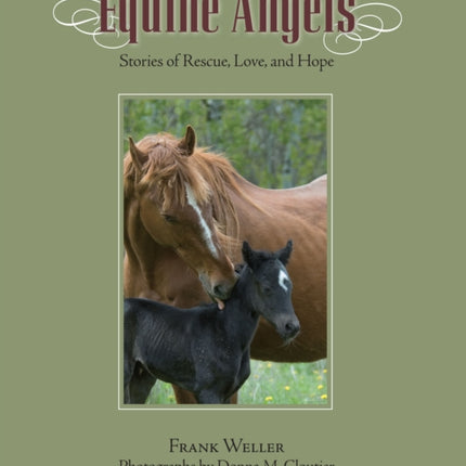 Equine Angels: Stories Of Rescue, Love, And Hope