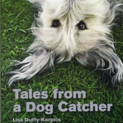 Tales from a Dog Catcher