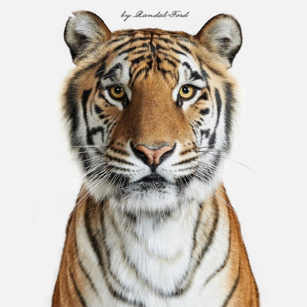 Animal Kingdom: A Collection on Portraits